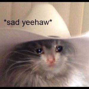 Meet your Posher, Dehlmahre